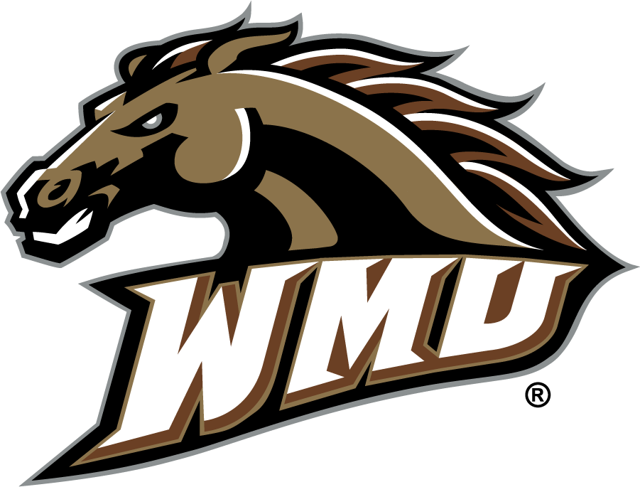 Western Michigan Broncos 1998-2016 Alternate Logo iron on transfers for clothing
